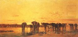 Charles tournemine African Elephants china oil painting image